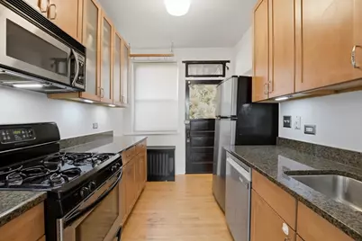 240 S Maple Avenue #1W, Oak Park, IL 60302 - Photo 5