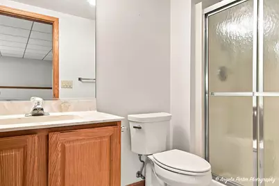 8420 Saint Moritz Drive, Spring Grove, IL 60081 - Photo 25