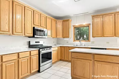 8420 Saint Moritz Drive, Spring Grove, IL 60081 - Photo 7