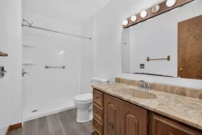 307 W Lincoln Avenue, Gardner, IL 60424 - Photo 17