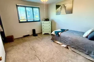 19834 Greenview Ave, Mokena, IL 60448 - Photo 29
