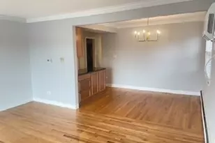 11255 S Roberts Rd, Palos Hills, IL 60465 - Photo 3