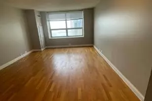 474 N Lake Shore Dr, Chicago, IL 60611 - Photo 7