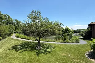 6135 Essex Ct, Willowbrook, IL 60527 - Photo 19