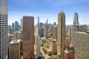175 E Delaware Pl, Chicago, IL 60611 - Photo 15