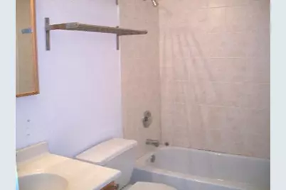 431 S Harvey Street #E, Oak Park, IL 60302 - Photo 11