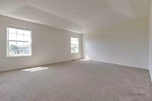 29 Neri Dr, Schaumburg, IL 60194 - Photo 23