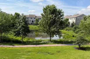 29 Neri Dr, Schaumburg, IL 60194 - Photo 45
