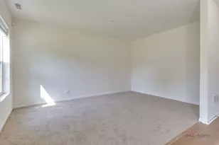 29 Neri Dr, Schaumburg, IL 60194 - Photo 29