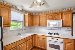 10440 S Hamlin Ave, Chicago, IL 60655 - Photo 11