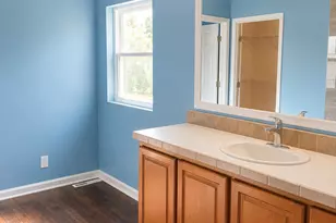 10914 W Kemper Ln, Frankfort, IL 60423 - Photo 23