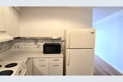 300 N State Street #5903, Chicago, IL 60654 - Photo 3