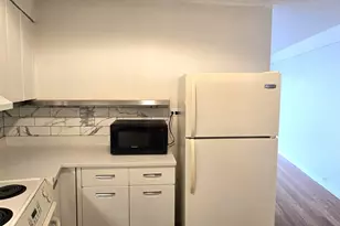 300 N State St, Chicago, IL 60654 - Photo 3