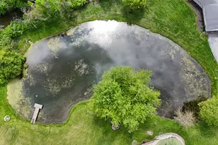 13 Riegel Oaks Ln, Homewood, IL 60430 - Photo 35