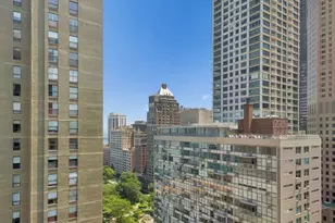 100 E Bellevue Pl, Chicago, IL 60611 - Photo 23