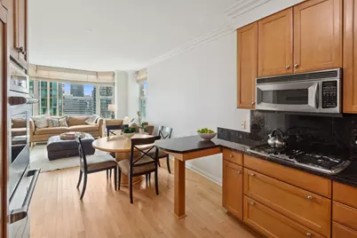 25 E Superior Street #3903, Chicago, IL 60611 - Photo 11