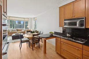 25 E Superior St, Chicago, IL 60611 - Photo 11