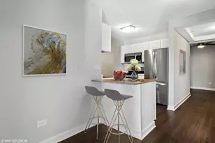 545 N Dearborn St, Chicago, IL 60654 - Photo 5
