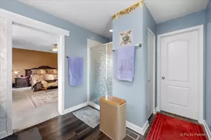 730 Charismatic Dr, Oswego, IL 60543 - Photo 25