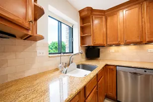 5306 N Cumberland Ave, Chicago, IL 60656 - Photo 15