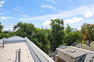 876 N Hermitage Ave, Chicago, IL 60622 - Photo 27