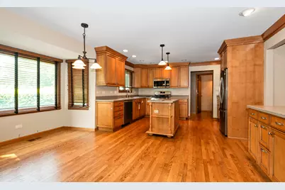 14020 Blackhawk Lane, Orland Park, IL 60462 - Photo 13