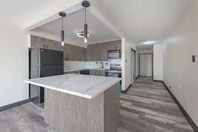 7337 S South Shore Drive #1231, Chicago, IL 60649 - Photo 9