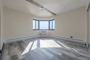 7337 S South Shore Dr, Chicago, IL 60649 - Photo 13