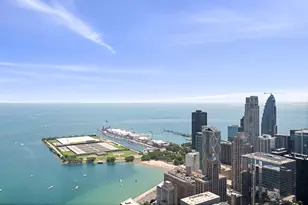 180 E Pearson St, Chicago, IL 60611 - Photo 43