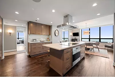 180 E Pearson Street #7203, Chicago, IL 60611 - Photo 15