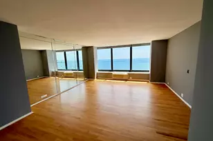 155 N Harbor Dr, Chicago, IL 60601 - Photo 5