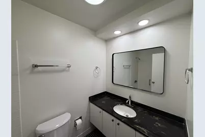 155 N Harbor Drive #1710, Chicago, IL 60601 - Photo 9