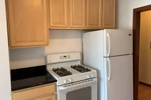 4208 N Leavitt St, Chicago, IL 60618 - Photo 11