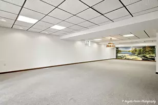 33481 N Christa Dr, Ingleside, IL 60041 - Photo 37