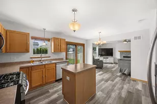 25726 W Lilac Ave, Monee, IL 60449 - Photo 9