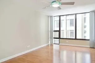 230 E Ontario St, Chicago, IL 60611 - Photo 9