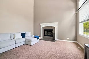 16418 S Mueller Circle, Plainfield, IL 60586 - Photo 9