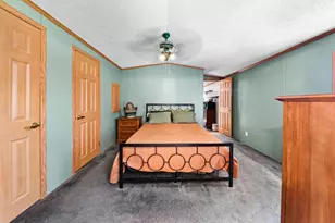 315 S Kankakee St, Braceville, IL 60407 - Photo 11
