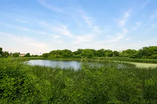 1377 E Evergreen Dr, Palatine, IL 60074 - Photo 3