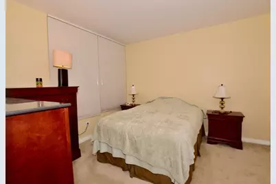 33 W Ontario Street #54C, Chicago, IL 60654 - Photo 11