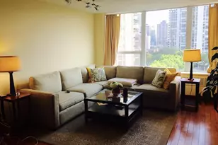 1460 N Sandburg Terrace, Chicago, IL 60610 - Photo 13