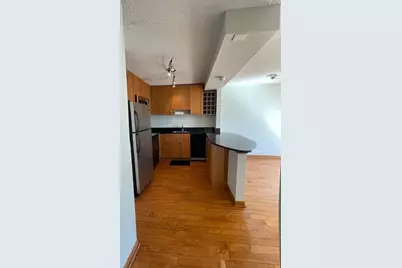 1460 N Sandburg Terrace #803A, Chicago, IL 60610 - Photo 5