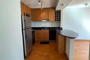 1460 N Sandburg Terrace, Chicago, IL 60610 - Photo 5