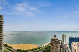 950 N Michigan Ave, Chicago, IL 60611 - Photo 11