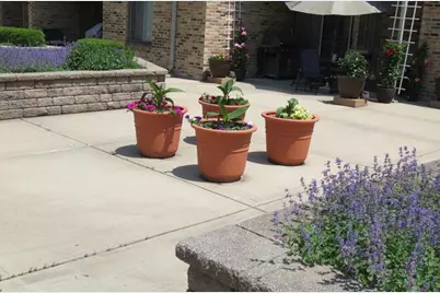 1620 Waxwing Court, Schaumburg, IL 60173 - Photo 21