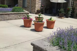 1620 Waxwing Ct, Schaumburg, IL 60173 - Photo 21