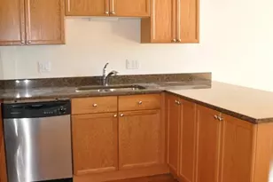 1464 S Michigan Ave, Chicago, IL 60605 - Photo 3