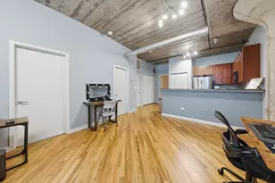 1111 W 14th Pl, Chicago, IL 60608 - Photo 5