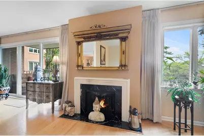 44 Park Lane #223, Park Ridge, IL 60068 - Photo 9