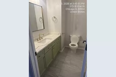 375 W Erie Street #608, Chicago, IL 60654 - Photo 9